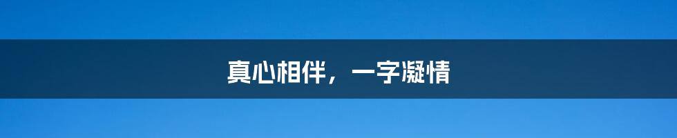 真心相伴,一字凝情
