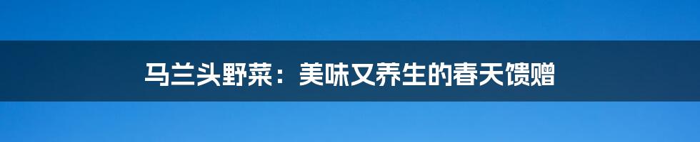 马兰头野菜:美味又养生的春天馈赠