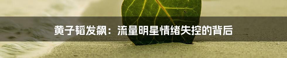 黄子韬发飙:流量明星情绪失控的背后