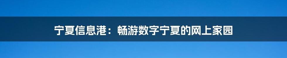 宁夏信息港：畅游数字宁夏的网上家园