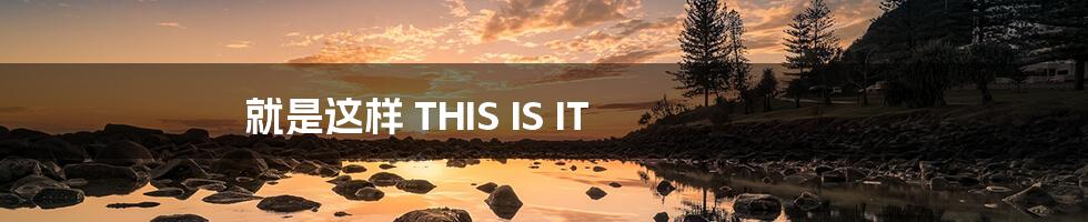 就是这样 THIS IS IT