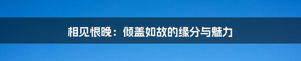相见恨晚:倾盖如故的缘分与魅力
