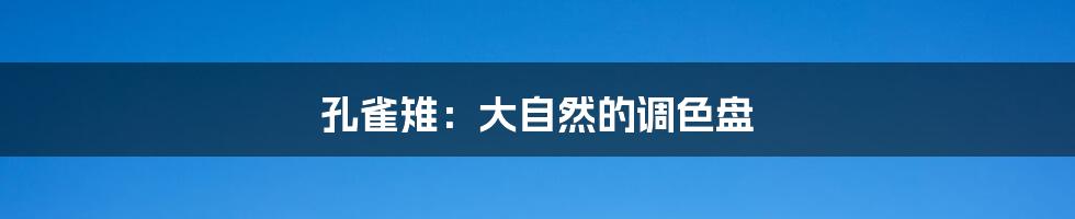 孔雀雉:大自然的调色盘