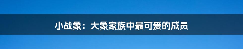 小战象：大象家族中最可爱的成员