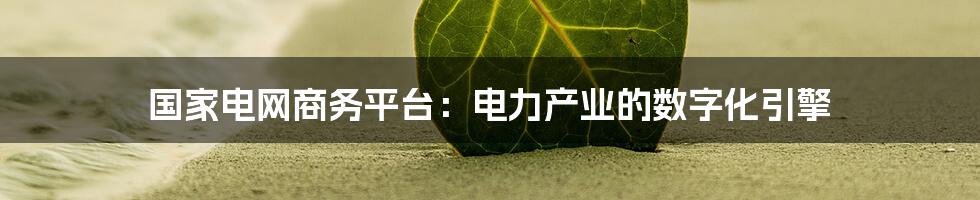 国家电网商务平台:电力产业的数字化引擎