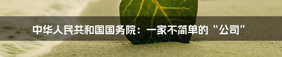中华人民共和国国务院：一家不简单的“公司”