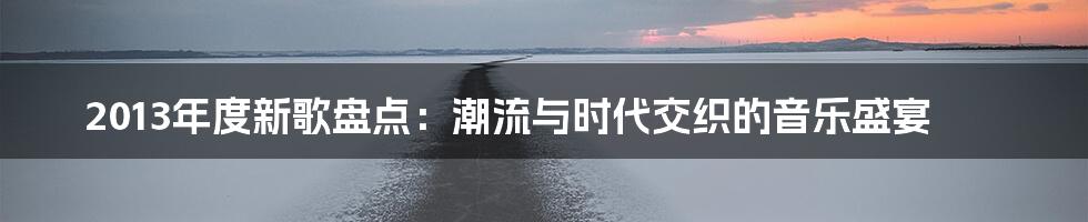 2013年度新歌盘点:潮流与时代交织的音乐盛宴