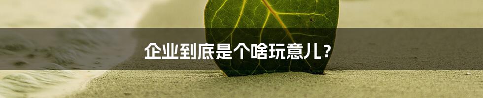 企业到底是个啥玩意儿?