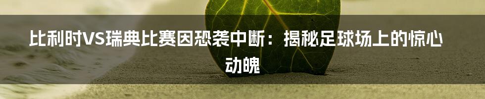 比利时VS瑞典比赛因恐袭中断:揭秘足球场上的惊心动魄