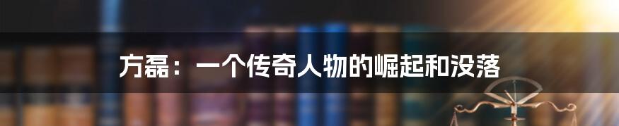 方磊:一个传奇人物的崛起和没落