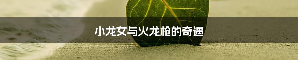 小龙女与火龙枪的奇遇