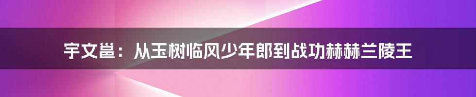 宇文邕:从玉树临风少年郎到战功赫赫兰陵王