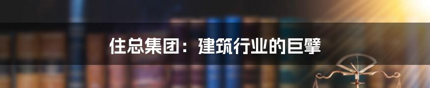 住总集团:建筑行业的巨擘
