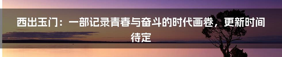 西出玉门:一部记录青春与奋斗的时代画卷,更新时间待定