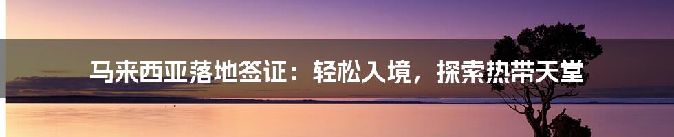 马来西亚落地签证：轻松入境，探索热带天堂