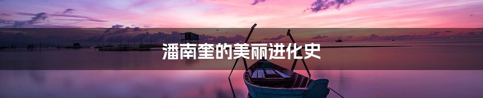 潘南奎的美丽进化史