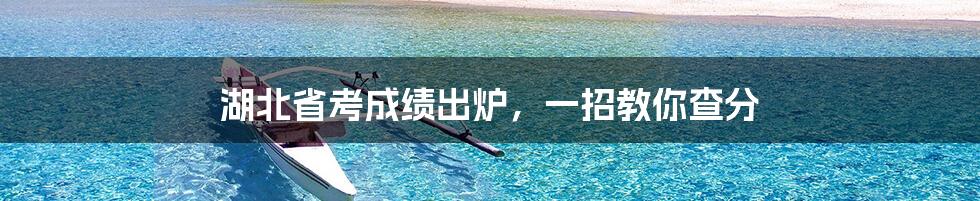 湖北省考成绩出炉,一招教你查分