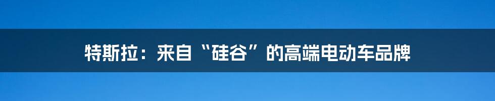 特斯拉：来自“硅谷”的高端电动车品牌