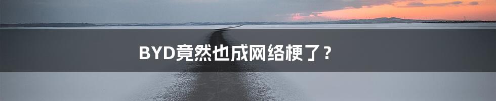 BYD竟然也成网络梗了?