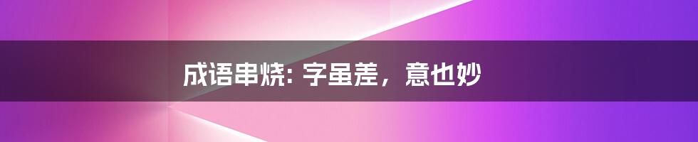 成语串烧: 字虽差,意也妙