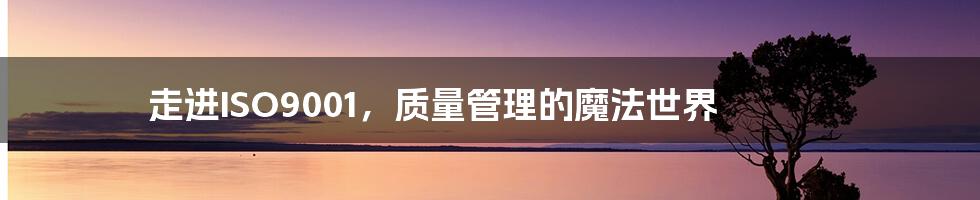 走进ISO9001,质量管理的魔法世界
