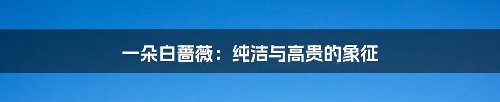 一朵白蔷薇:纯洁与高贵的象征