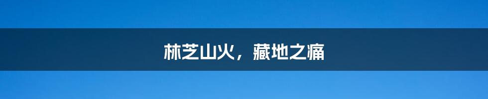 林芝山火,藏地之痛