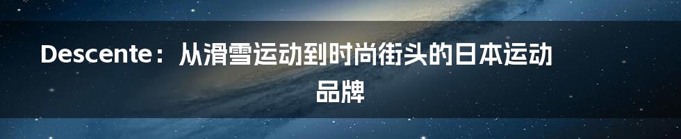 Descente:从滑雪运动到时尚街头的日本运动品牌
