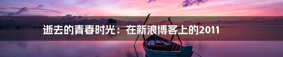 逝去的青春时光:在新浪博客上的2011