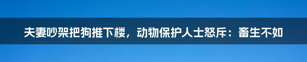 夫妻吵架把狗推下楼，动物保护人士怒斥：畜生不如