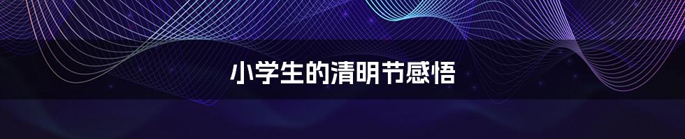 小学生的清明节感悟