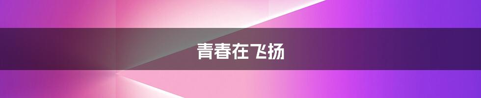 青春在飞扬