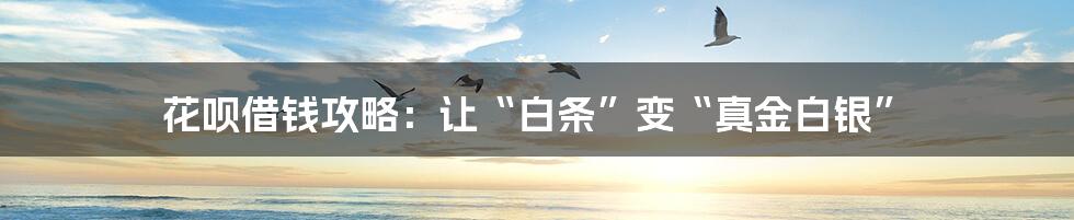 花呗借钱攻略:让“白条”变“真金白银”