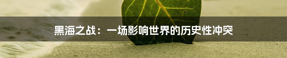 黑海之战：一场影响世界的历史性冲突