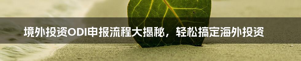 境外投资ODI申报流程大揭秘,轻松搞定海外投资