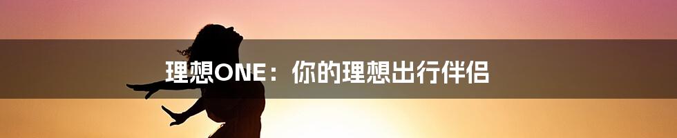 理想ONE:你的理想出行伴侣