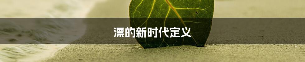 漂的新时代定义
