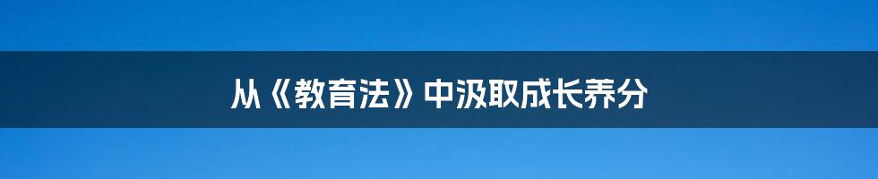 从《教育法》中汲取成长养分