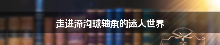 走进深沟球轴承的迷人世界