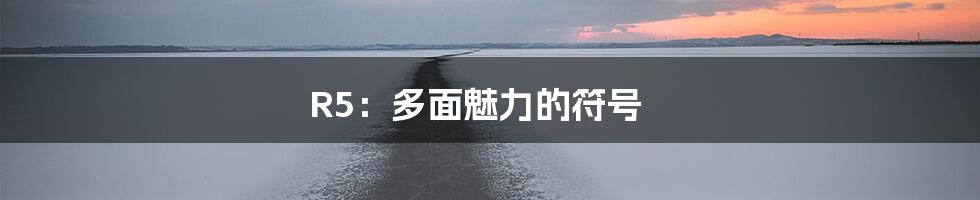 R5:多面魅力的符号