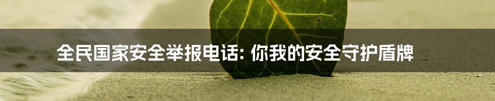 全民国家安全举报电话: 你我的安全守护盾牌