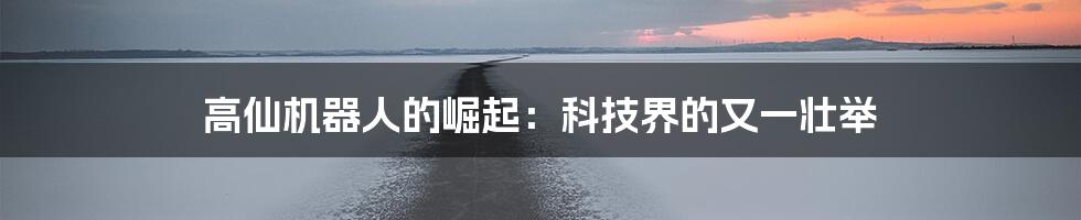 高仙机器人的崛起:科技界的又一壮举