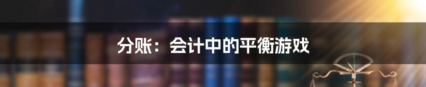 分账:会计中的平衡游戏