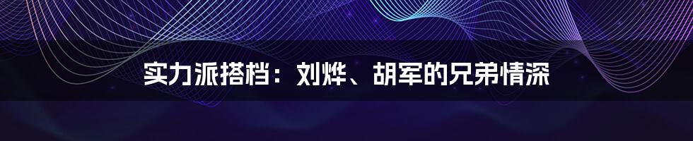 实力派搭档：刘烨、胡军的兄弟情深