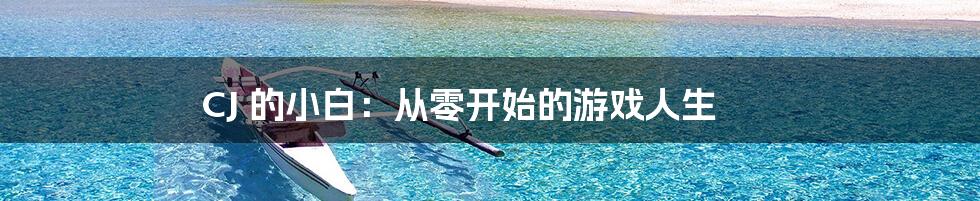 CJ 的小白:从零开始的游戏人生