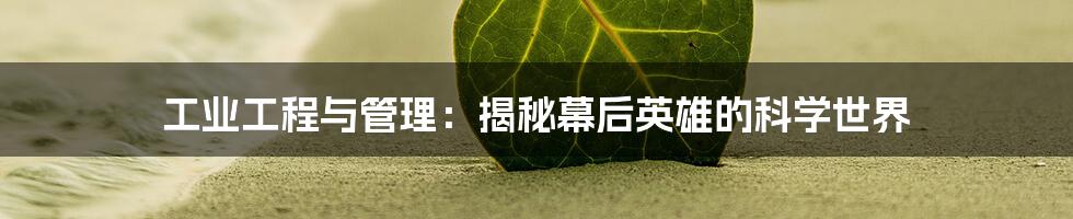 工业工程与管理:揭秘幕后英雄的科学世界