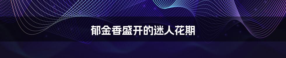 郁金香盛开的迷人花期