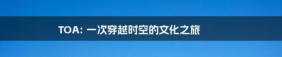 TOA: 一次穿越时空的文化之旅