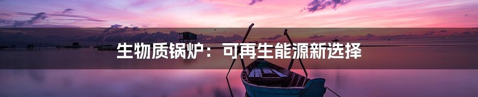 生物质锅炉：可再生能源新选择