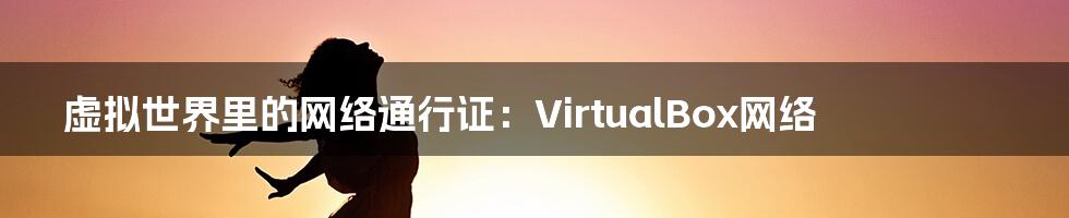 虚拟世界里的网络通行证:VirtualBox网络